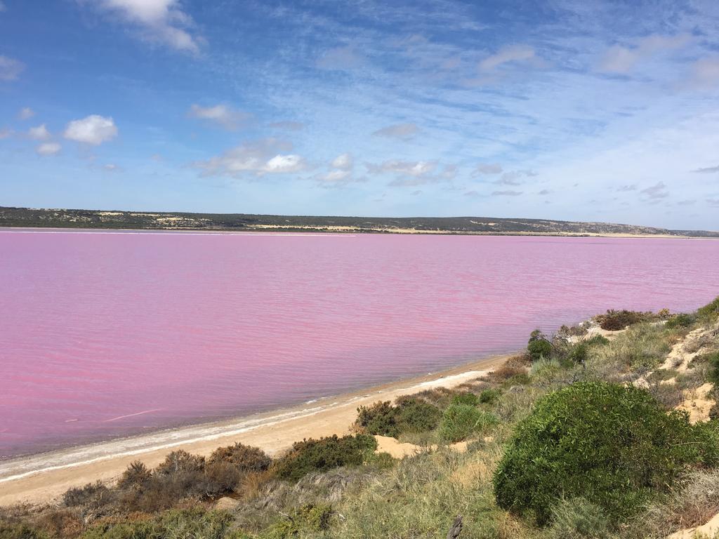 Port Gregory Caravan Park Εξωτερικό φωτογραφία